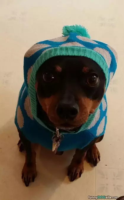 Bundled