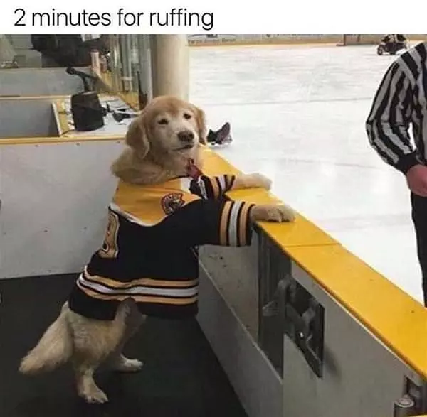 Ruffing