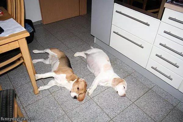 Kitchen Sleep