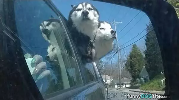 Drive Faster Human