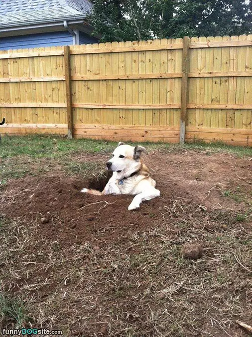 Comfortable Hole