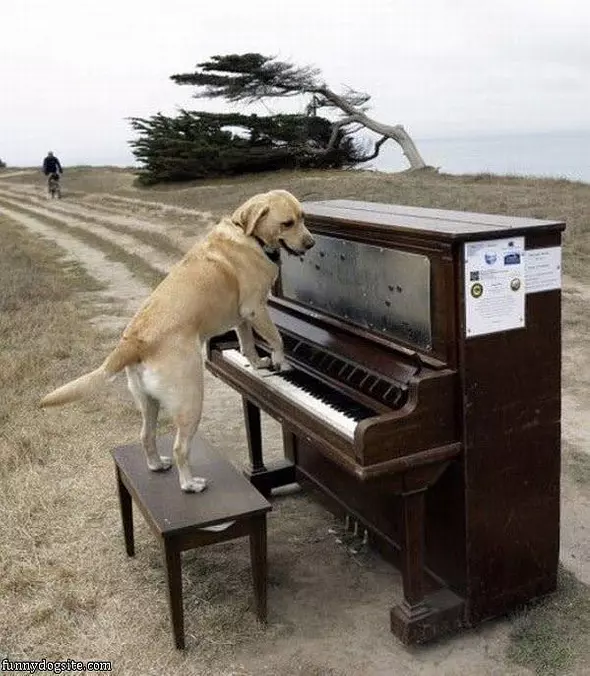 Jamming Out