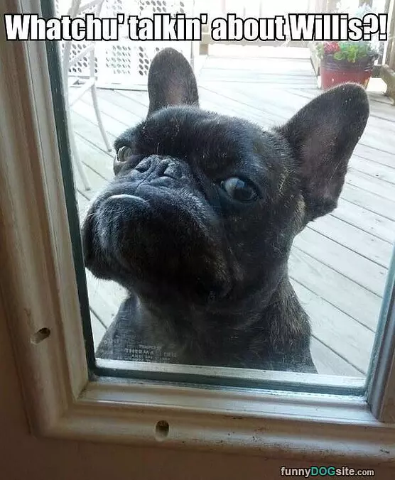 Whatcha Talkin About