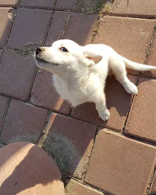 Play Time