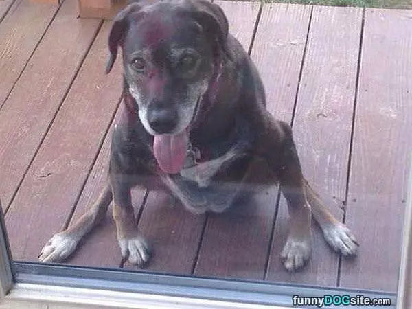 Hanging Out At The Door
