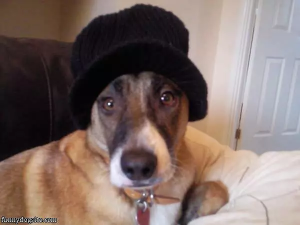 Barney In A Nice Warm Hat