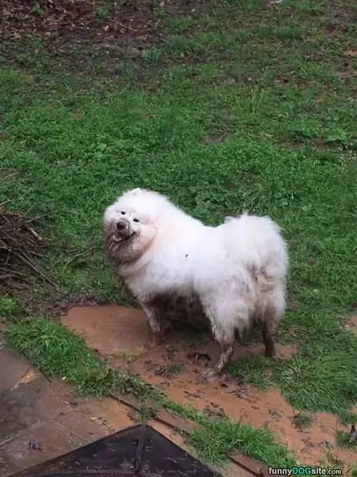This Is What I Think Of The Bath