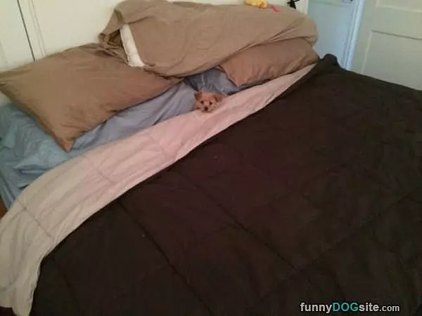 Perfect Sized Bed