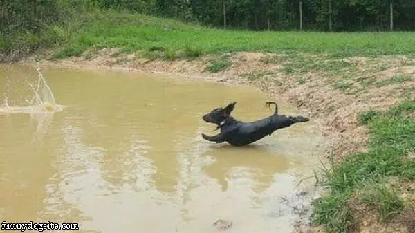 Long Jumper