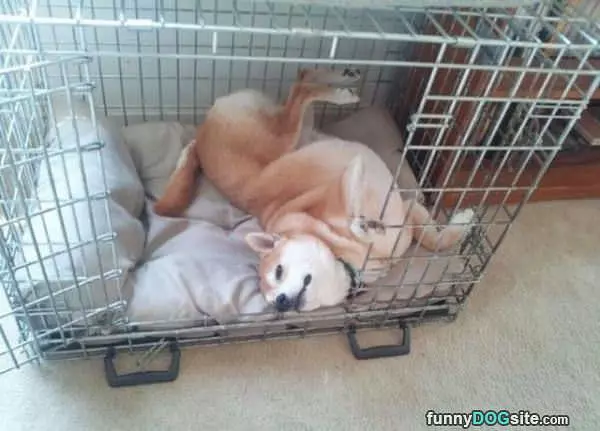 Found My Comfy Spot