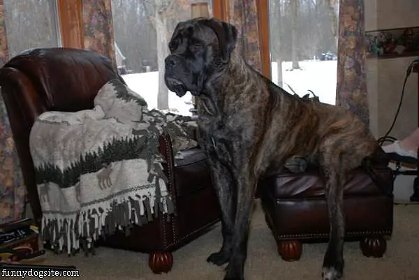 Just Having A Seat