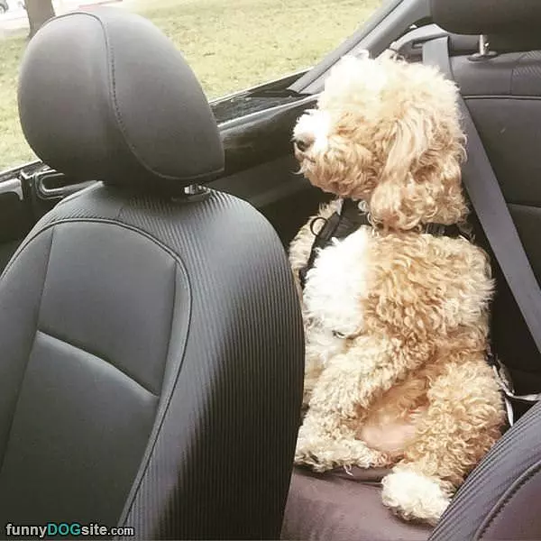 Windy Days Are Awesome