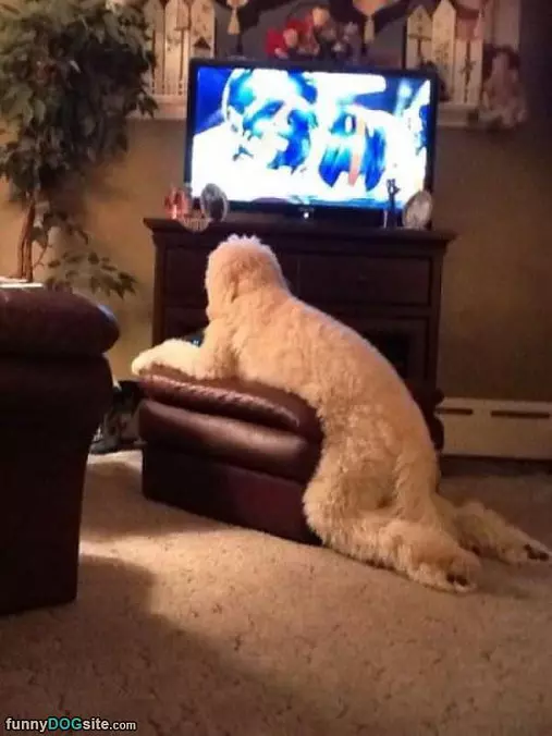 Relaxing And Watching