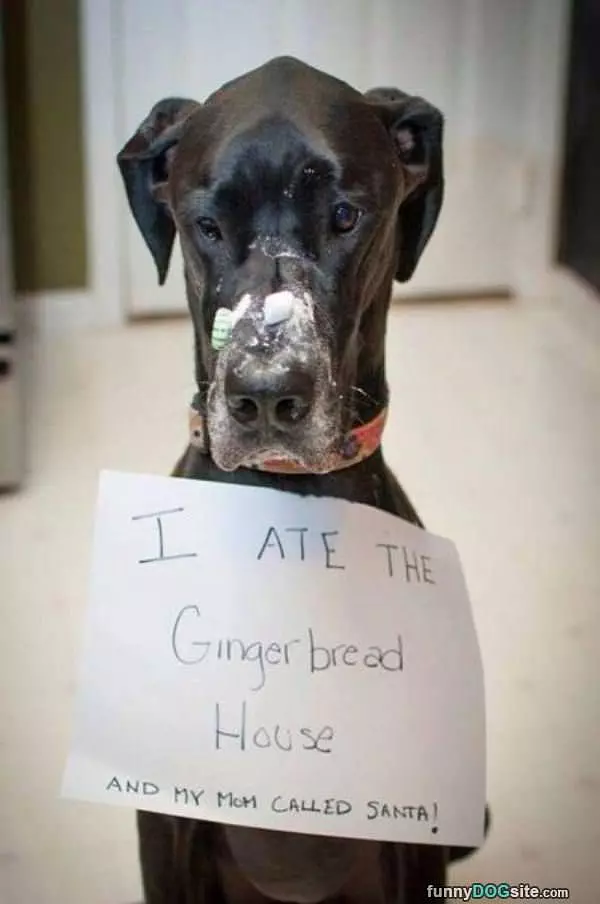 Ate The Gingerbread House