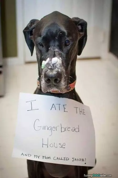 Ate The Gingerbread House