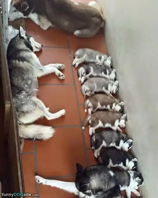 Watching The Family