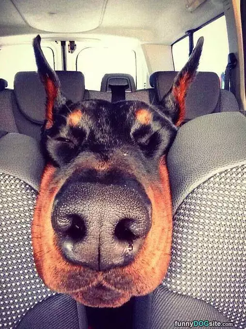Are We There Yet
