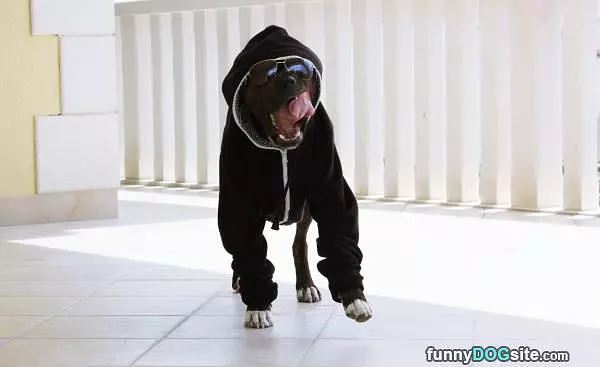 Whats Up Everyone