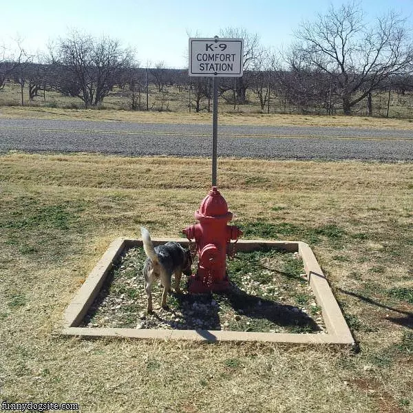 K9 Comfort Station