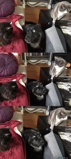 I Am Surrounded