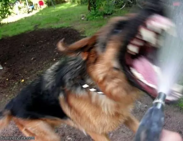 Attack