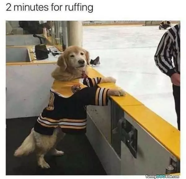 2 Minute Penalty