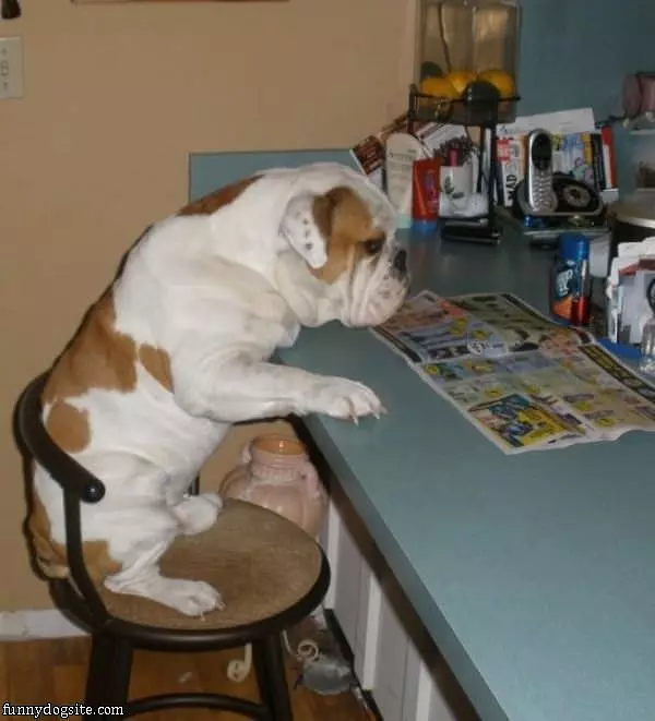 Reading The Paper