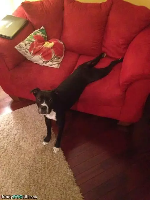 Hanging On The Couch