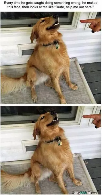 Did Something Wrong