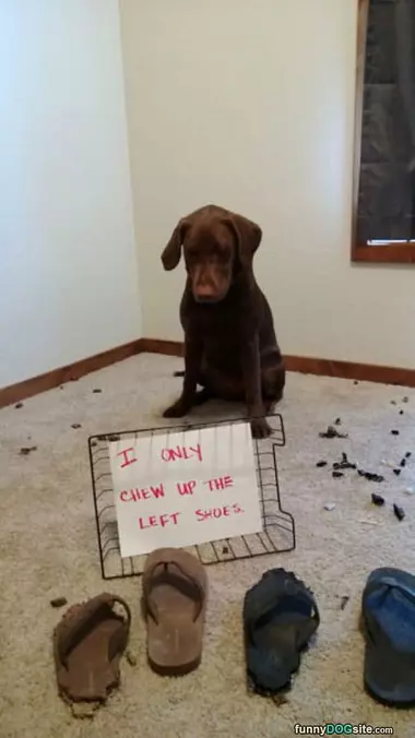 Left Shoes