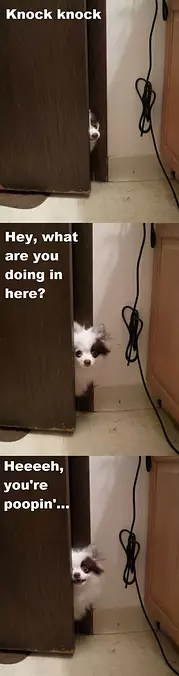 What You Doing In Here
