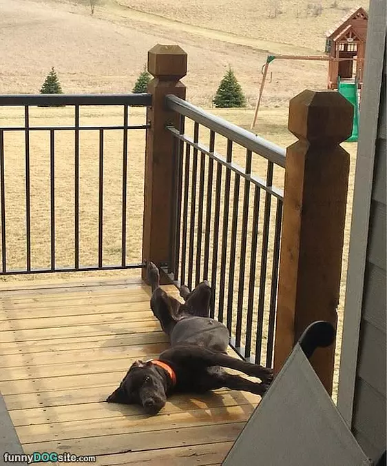 Sun Tanning