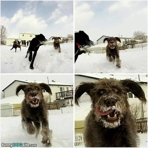 Having Fun In The Snow