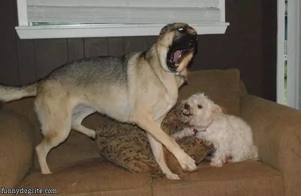 Oh No You Didnt