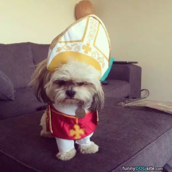 Do You Like My Pope Hat