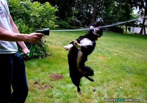 Flying Jump Attack