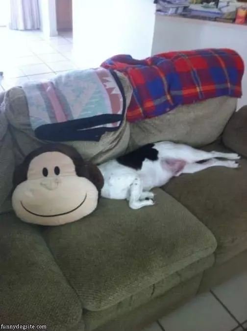 My Happy Monkey Face