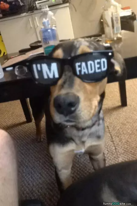 Im Faded