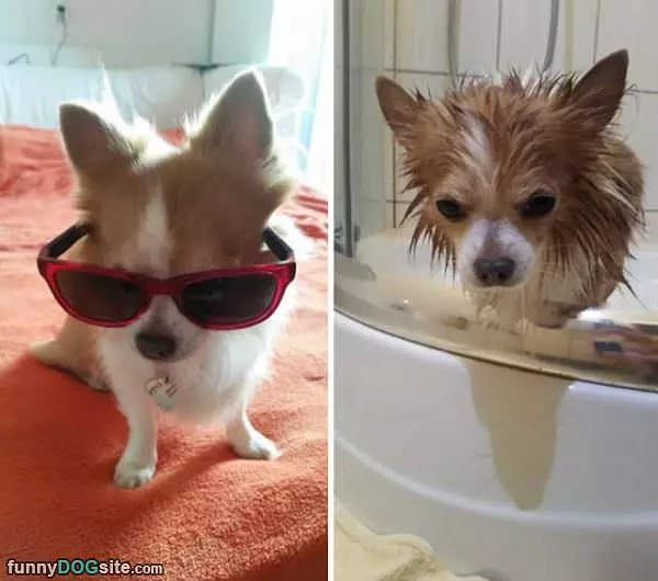 Before And After Bath