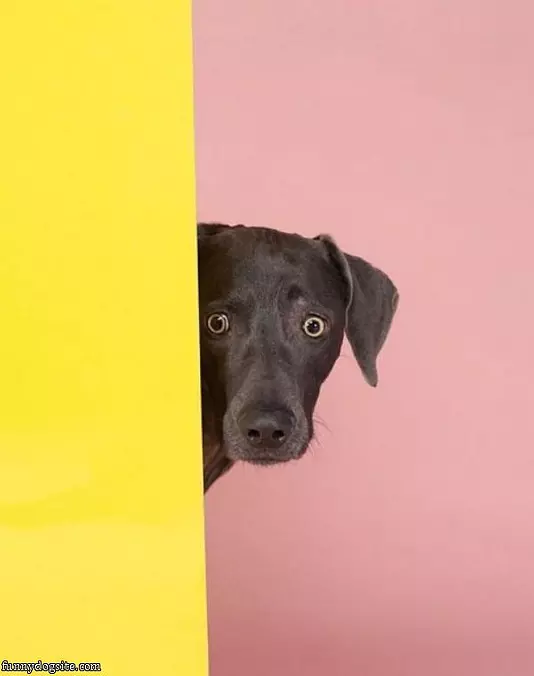 I Saw That