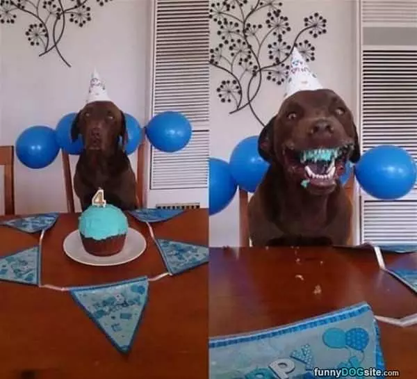I Love This Cake