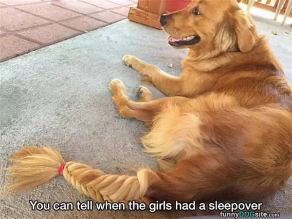 The Girls Had A Sleep Over