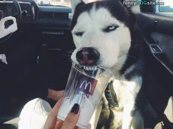 Let Me Finish This Off