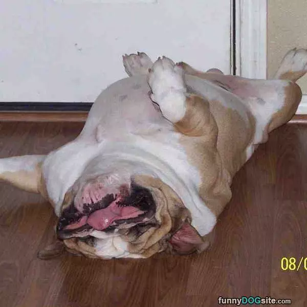 Sooo Lazy Today