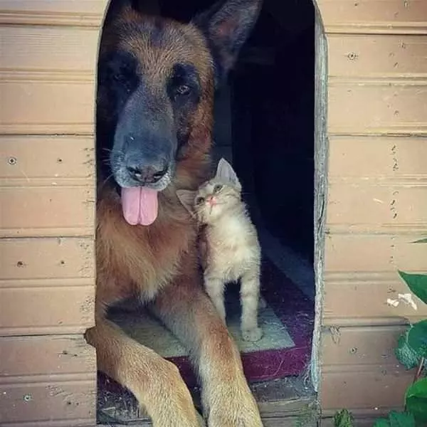 Me And My Buddy