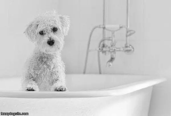 Bath Time