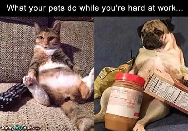 When You Are Hard At Work