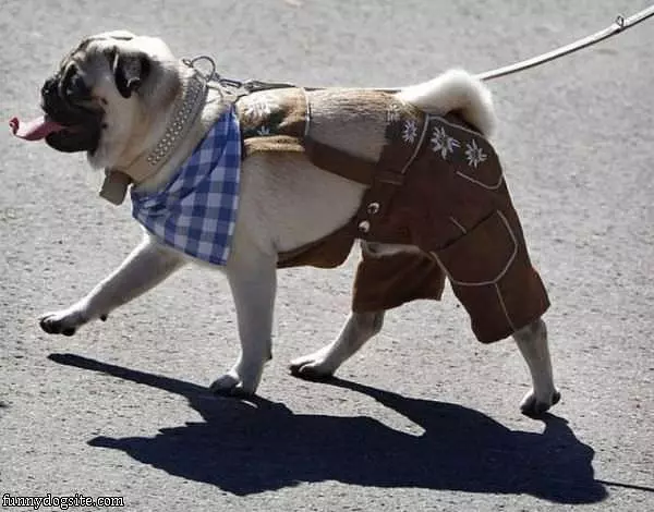 Cowboy