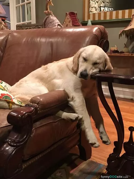 I Can Nap Just About Anywhere