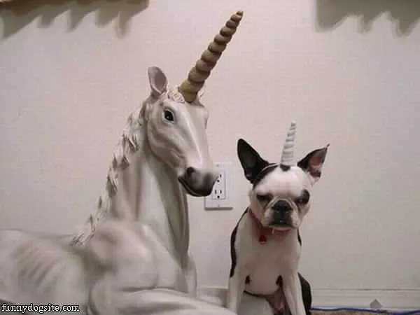 Unicorns
